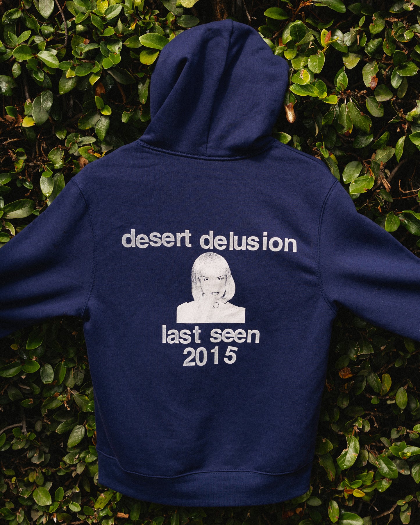 DESERT DELUSION HOODIE