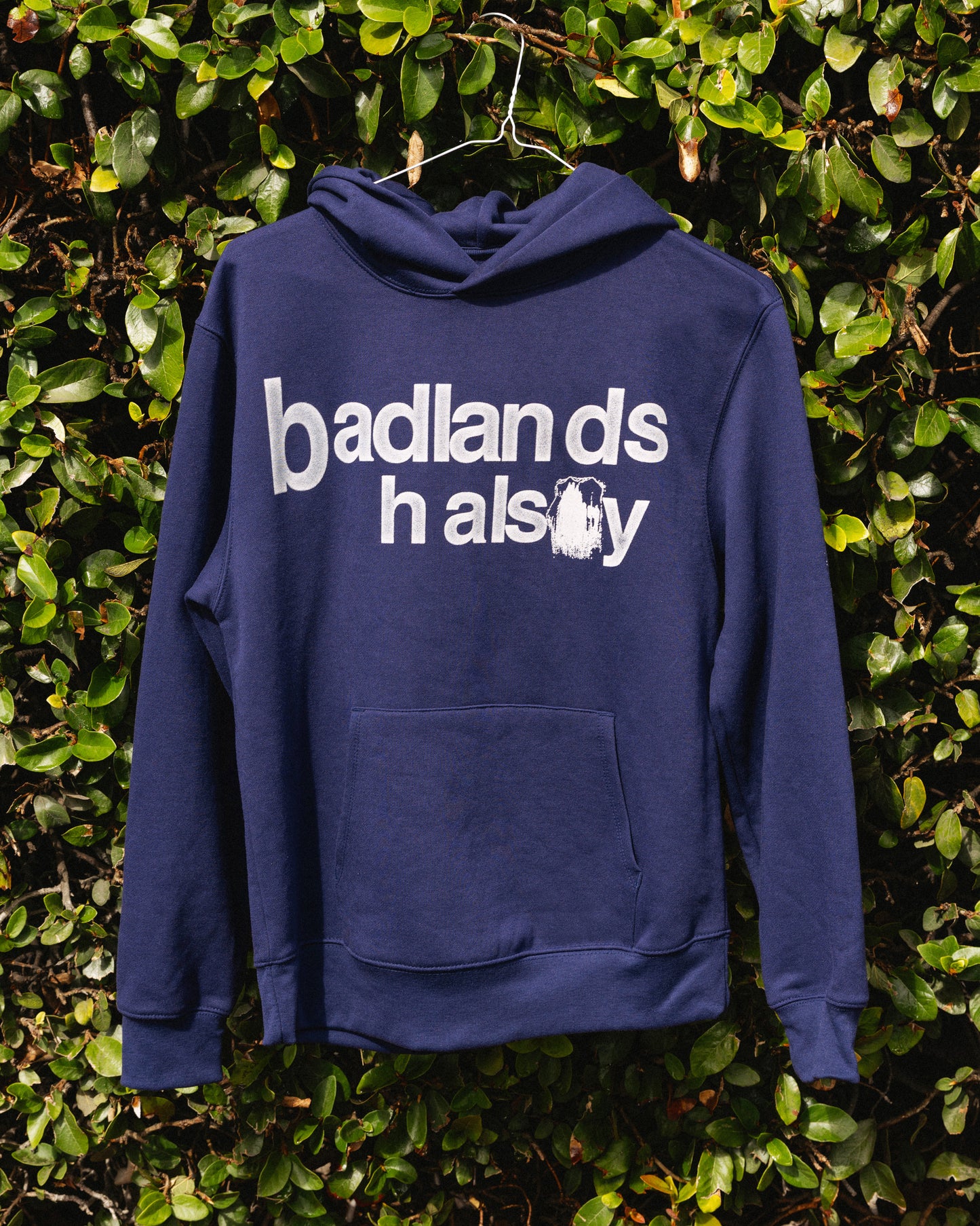 DESERT DELUSION HOODIE